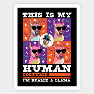 This is My Human Costume I'm Really A Llama Funny Halloween Sticker